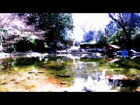 Moodscape Spa Relaxation Video - Tranquil Pond (Nature Sounds & Subtle Noise Ambiance)