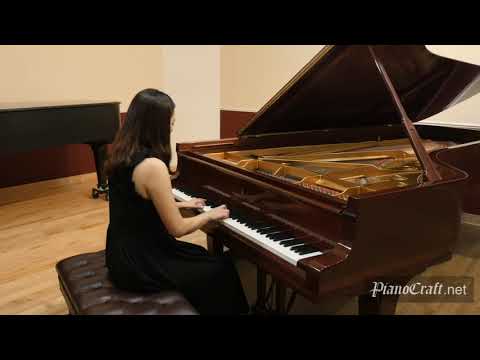 Steinway Hamburg Mdl D Schumann Arabesque