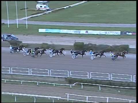 Trotto 13/11/2014 - 3° corsa