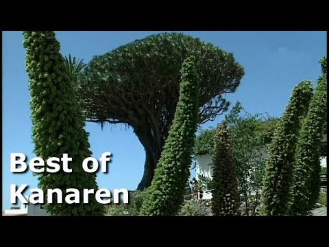 Reiselust: Best of Kanaren (2004)