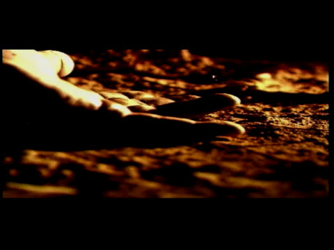 Un Solo Cuerpo - Los Chiches Vallenatos | Discos Fuentes