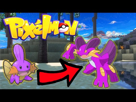 Evolving A Shiny Swampert! Minecraft Pixelmon