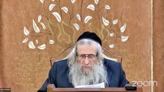 הגה"ח הרב מענדל וועכטר שליט"א כ"א טבת תשפ"ד (הרב אברהם מנחם מענדל וכטר) - התמונה מוצגת ישירות מתוך אתר האינטרנט יוטיוב. זכויות היוצרים בתמונה שייכות ליוצרה. קישור קרדיט למקור התוכן נמצא בתוך דף הסרטון