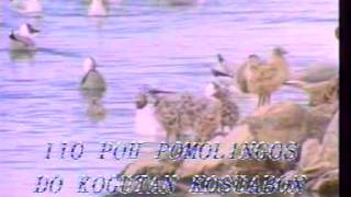 Download lagu Kada Pogi Poginum   Francis Landong mp3