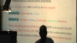 24) Dr. Rasheed 30/12/2014 [ Metabolism of Cholesterol ]
