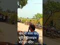 Khesari Lal Yadav Movie Shooting In Pipraich Moteshiv Mandir Gorakhpur