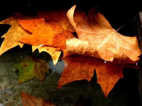 Maxmaber Kvintet - Mare maje