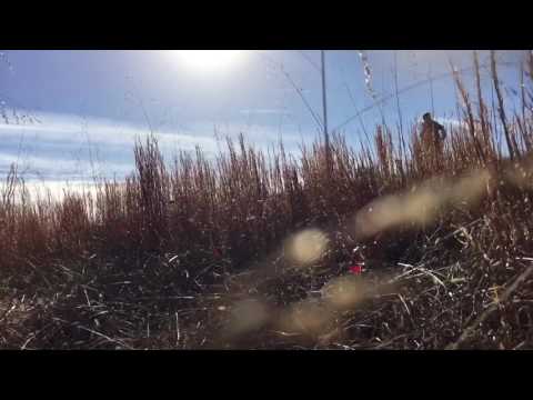 The Mixtape Junkies - The Mixtape Junkies