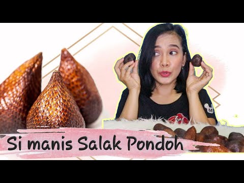 Review Salak Pondoh