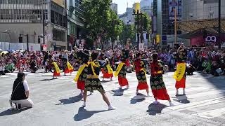 【ヤング踊り連】「第29回 渋谷・鹿児島おはら祭り」より