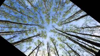 Sunday coming down again