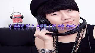 【 搖擺哥 dj 】 王繹龍  ( DJ 阿帆 Remix )