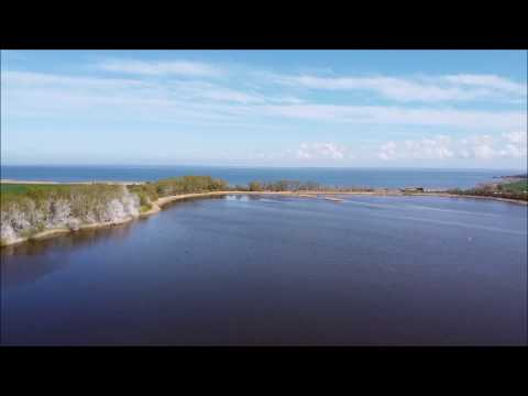Prohn von oben - Dji Mavic Mini Footage