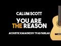 Calum Scott You Are The Reason Acoustic Guitar Karaoke Version