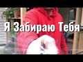 Alex Shans - Я Забираю Тебя (Премьера Клипа, 2021) Alex Shans - Я Забираю Тебя (Премьера Клипа, 2021)