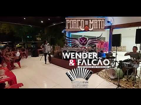 wender e falcão e vander e vagner no porco do mato