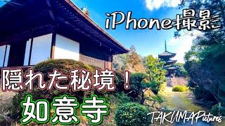 秘境！？  如意寺 iPhone 12 Pro 4K 24fps