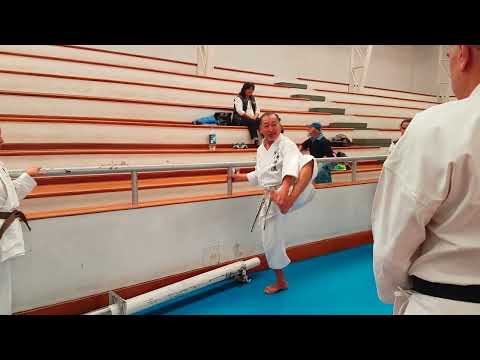 Asai-ryu karate, Karate body exercise, Leg and hip joints Flexibility #2 浅井流空手・基本運動・脚と股関節の柔軟性その弐