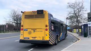 MTA NYCT #8703 on the Q3 to Jamaica Bus Terminal by the JFK Vendors