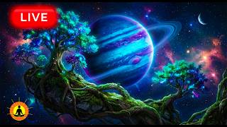 🔴 Deep Sleep Music 24/7, Relaxing Music, Sleep, Yoga, Meditation Music, Study Music, Sleeping Music thumbnail