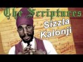 Sizzla - Jump for joy  (The Scriptures 2011)