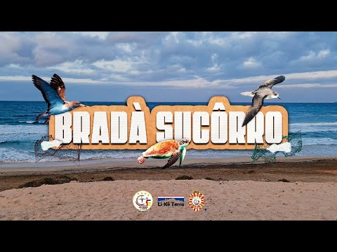 BRADÀ SOCÔRRO (OFFICIAL VÍDEO)