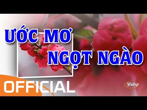 Ước Mơ Ngọt Ngào (Karaoke) - Đan Trường & Cẩm Ly | Beat Chuẩn