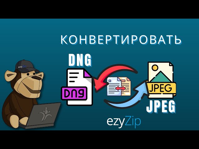 Как конвертировать DNG в JPEG за секунды!
