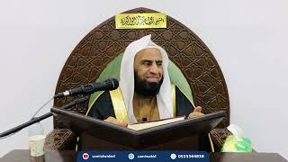 صورة التعليق على كتاب النحو الواضح || المجلس الثامن || فضيلة الشيخ د. سامي الواكد .