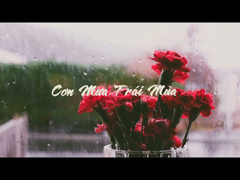 Cơn mưa trái mùa - Ngọc Quy