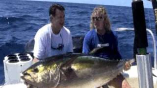 Panama Huge Yellowfin Tuna