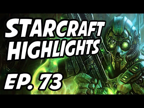 StarCraft Daily Highlights | Ep. 73 | Avilo, Proxy_Tempest, GSL, BASETRADETV, Nathanias, LowkoTV