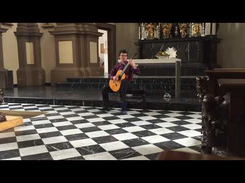 Vladislav Fedorov   J S Bach  Suite e moll BWV 996   Bourree