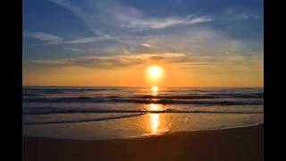 All This Beauty by The Weepies