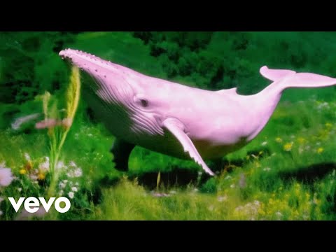 Jayda G - The Shiver (Official Visualiser)