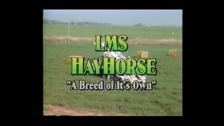 LMS Hay Horse - Loads, Moves, Stacks - Patent Pending