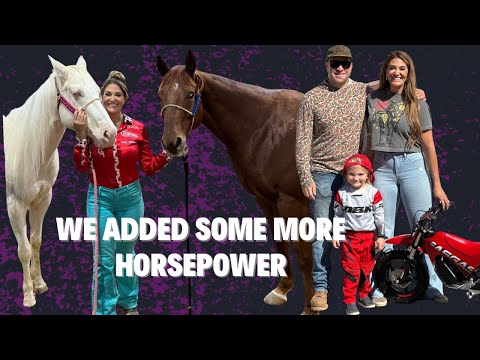 3 HORSES 1 WEEKEND and 1 BRAND 😉 NEW PASSION