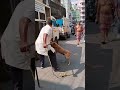 KMC DOG S CATCHING VAN Dog Doglover Ytshorts Animals Streetdog