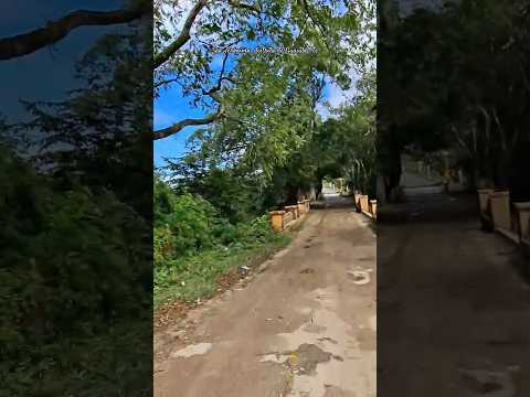 são Jerônimo, guaiuba ce