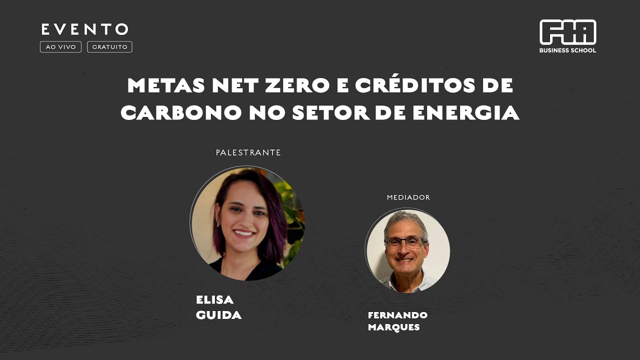 Metas Net Zero e Créditos de Carbono no Setor de Energia