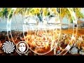 Hallucinogen - LSD (Astral Projection Remix ...
