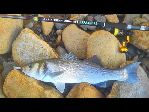 Samson Long Cast Expanse Spinning Rod 15-60g