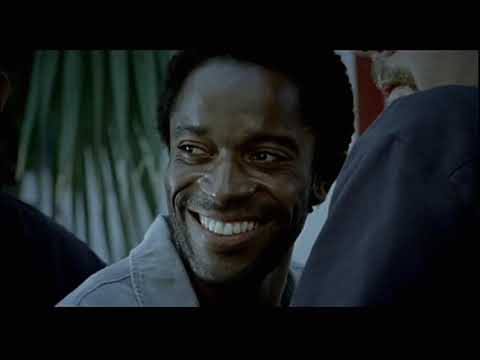 QUASE DOIS IRMÃOS - Lúcia Murat (2004)