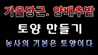 [텃밭농부. 1,191]  가을당근. 양배추밭 토양은 이렇게 만든다. # 당근재배 #양배추재배