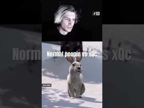 Wow xQc #memes #funny #comedy #viral #fyp