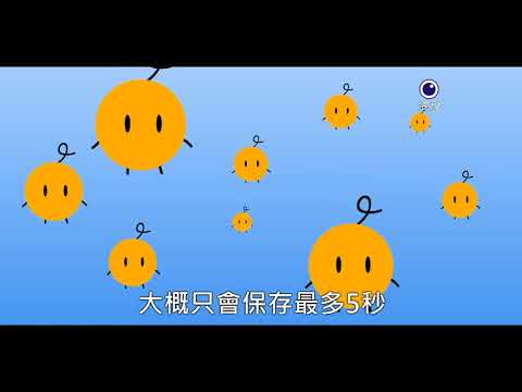 古代のウイルスは私たちの長期記憶を助ける