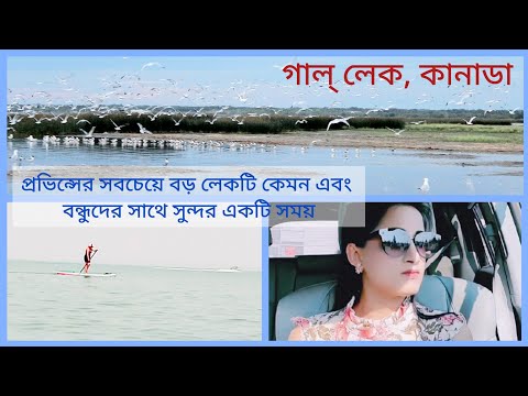 Largest Sandy Beach Lake of Central Alberta || Canada || Gull Lake || Shanta Nourin