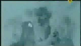 S.W.A.T - The fly is dead