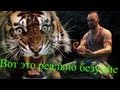 Настоящее безумие или баги в Far Cry 3 