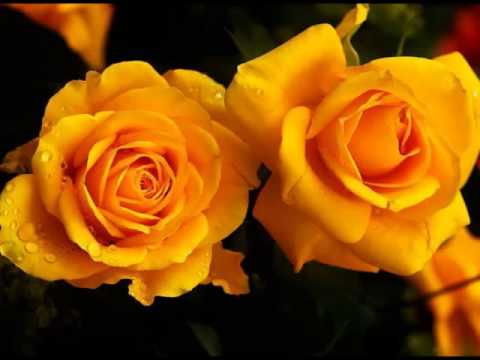 Ljubica Berak - Mene moja zaklinjala majka